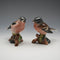 British Vintage Beswick Chaffinch Figurine Set of 2 (No. 991)