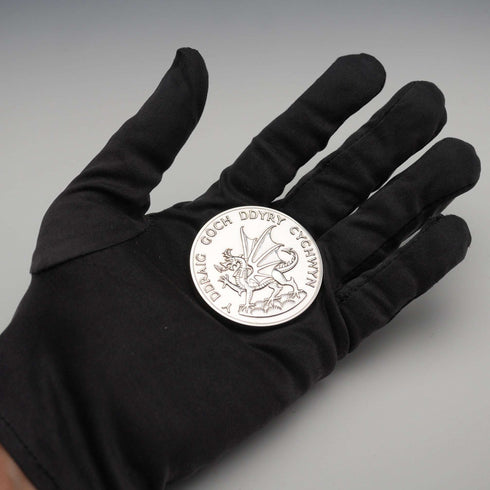 1969 Investiture of the Prince of Wales Commemorative Medal 70g Royal Mint Cased