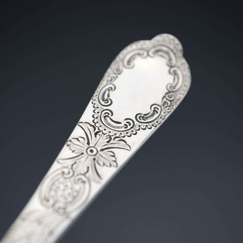 Juego de 4 cucharas para bayas de plata chapada, antigüedades británicas de finales del siglo XIX, en su estuche original.