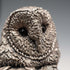 English Country Artists 2 Owls Sterling Silver Plated Sculpture Figurine
