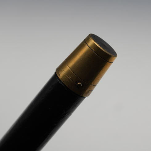 Vintage Black Shaft Eagle Head Handle Cane Walking Stick 86cm