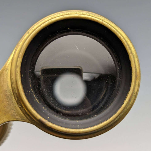 French antique mother-of-pearl decorated opera glasses binoculars with case Verne