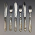 1877 British Antique Pure Silver Blade White Butterfly Shell Handle Fish Cutlery 3 Pairs Set William Hutton