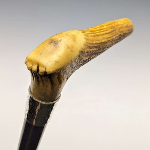 1889年 英国古董绅士手杖 鹿角手柄 91cm