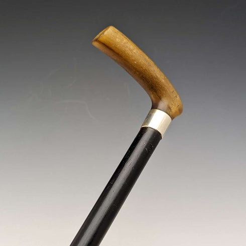 Bastón antiguo británico de 1901, adorno de plata de ley, mango en L de cuerno, 81 cm
