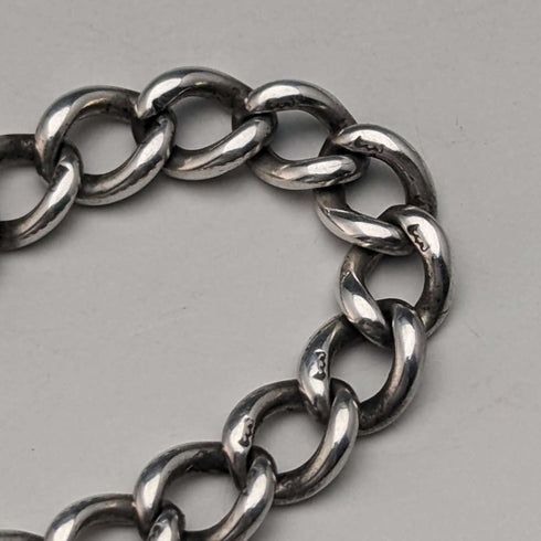Cadena Albert de plata de ley, antigua, británica, circa 1890, 25 g, con colgante de brújula de plata de ley
