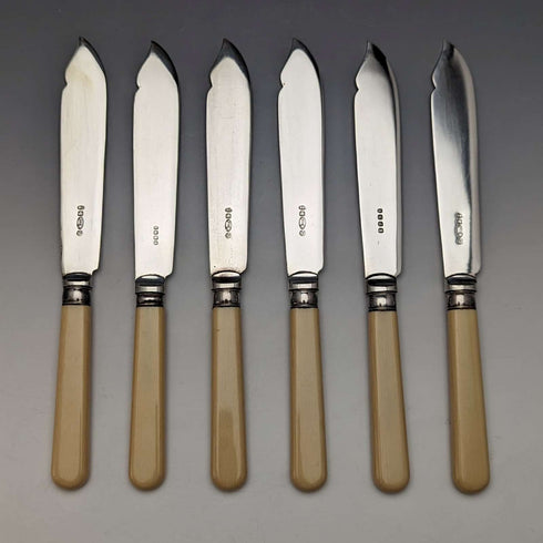 英国ヴィンテージ 樹脂ハンドル フィッシュカトラリー6ペアセット 木箱入り Cooper Brothers