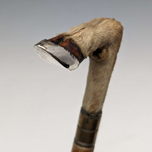 영국 앤틱 신사용 지팡이, 샤모아 레그 핸들, 라이트 브라운 샤프트, 89cm