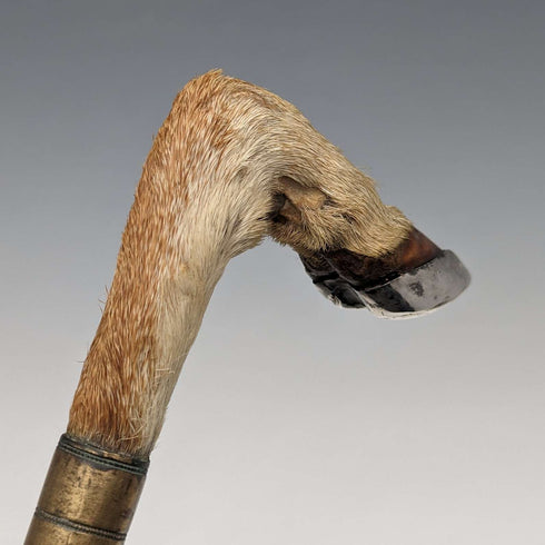 영국 앤틱 신사용 지팡이, 샤모아 레그 핸들, 라이트 브라운 샤프트, 89cm