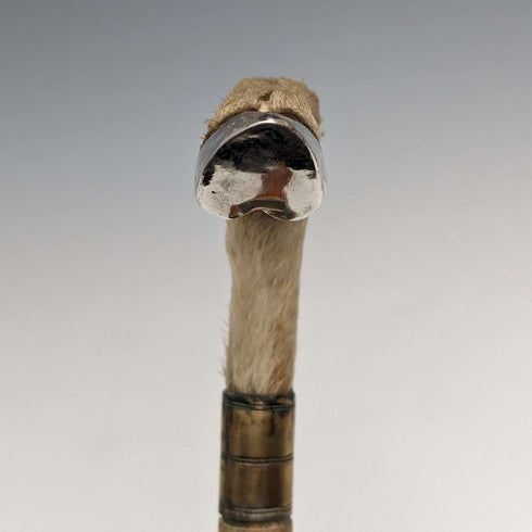 영국 앤틱 신사용 지팡이, 샤모아 레그 핸들, 라이트 브라운 샤프트, 89cm