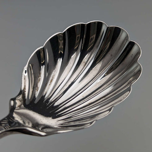 Cuchara para té de plata esterlina, antigüedad británica de 1899, por George Jackson y David Fullerton