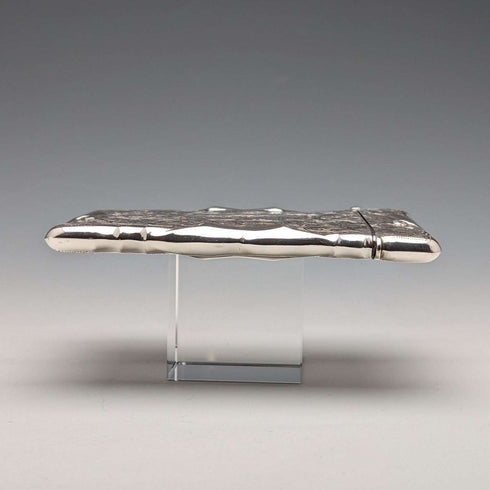 Tarjetero grande de plata de ley, antiguo, británico, 1903, 87 g, William Bruford and Sons