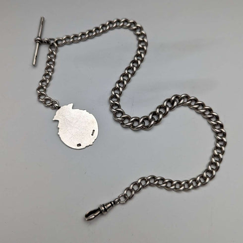 Cadena Albert de plata de ley, antigua, británica, circa 1900, 52 g, con medalla fob de plata de ley