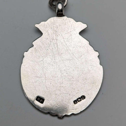 Cadena Albert de plata de ley, antigua, británica, circa 1900, 52 g, con medalla fob de plata de ley