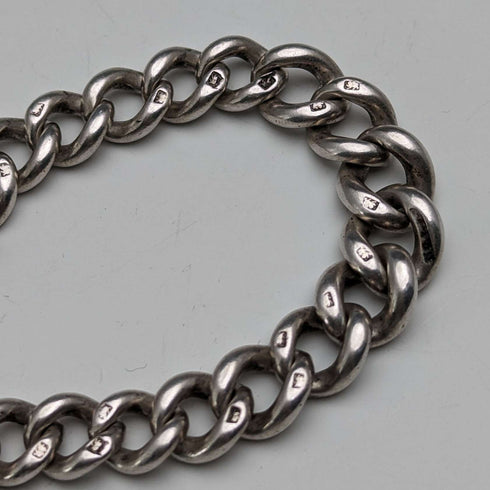 Cadena Albert de plata de ley, antigua, británica, circa 1900, 52 g, con medalla fob de plata de ley