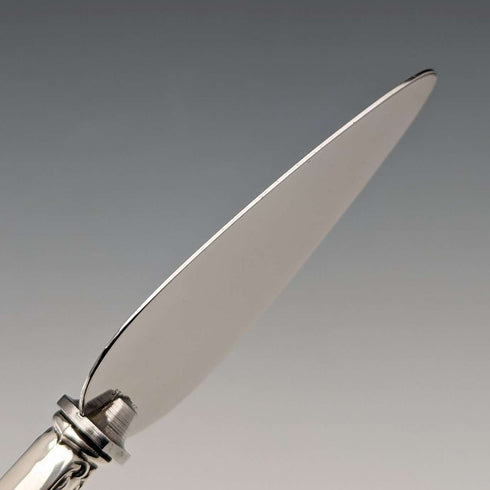 Circa 1910 American antique small cake slicer with sterling silver handle