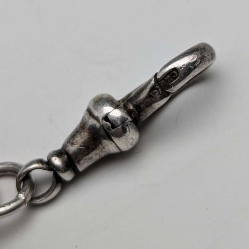 Cadena Albert de plata esterlina antigua, Inglaterra, circa 1900, 46 g, con sello de águila y dije de piedra natural