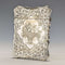 Late 19th Century British Antique Silver Plated Card Case