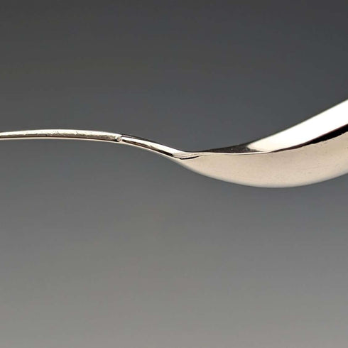 Cuchara para té de plata esterlina, antigüedad británica de 1819, Thomas Wallis II & Jonathan Hayne