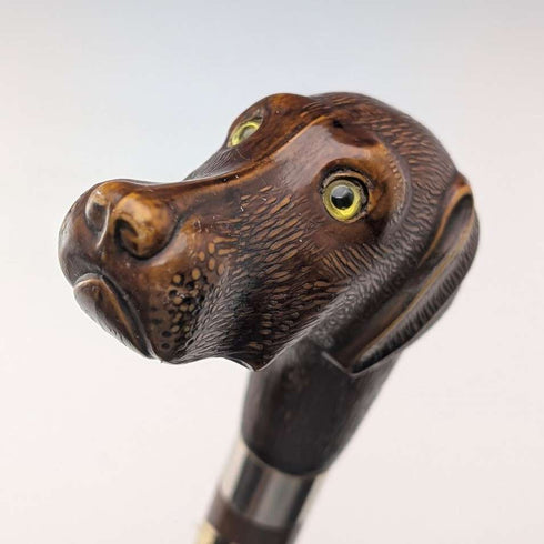 Bastón vintage británico con eje marrón y empuñadura de resina en forma de cabeza de perro, 83 cm