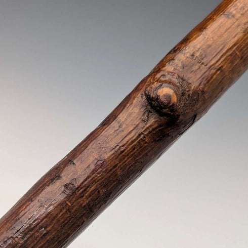 Bastón vintage británico con mango de cabeza de pájaro y eje de color marrón natural, 89 cm