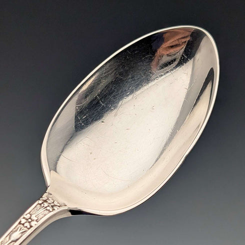 1909 British antique sterling silver Christening spoon by John Round & Son, in case