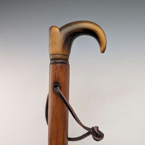 ヴィンテージ マラッカ藤シャフト ホーンハンドル 小型ステッキ 杖 63cm