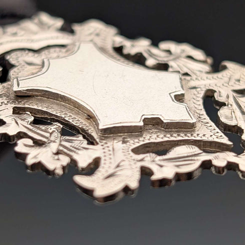 Cadena Albert de plata de ley, eslabones de fantasía, antigüedad británica de alrededor de 1894, 44 g, con medalla-fob de plata de ley
