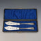 1870s British Antique Silver Plated Butter Knife Pair in Case