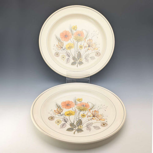 Pair of British Vintage Meakin Trend Hedgerow Pattern Dinner Plates, 27cm Diameter