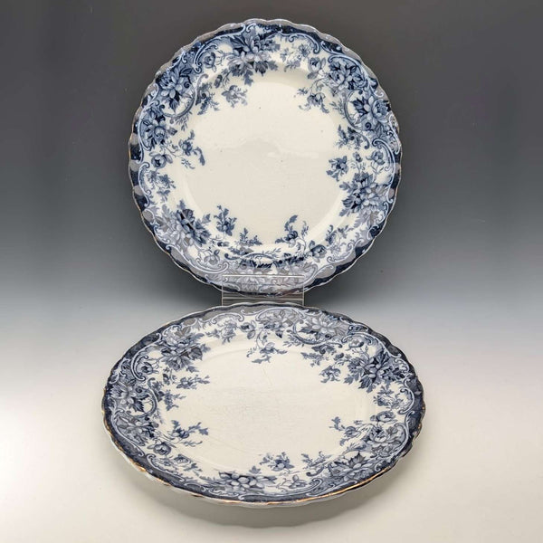 英国アンティーク バーリントンパターン 半磁器製 ディナープレートペア Wedgwood&Co.