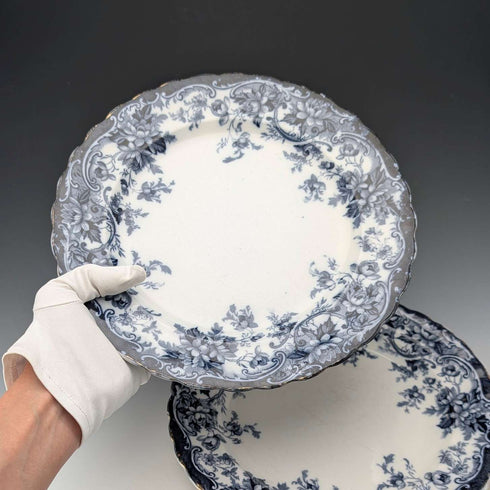 英国アンティーク バーリントンパターン 半磁器製 ディナープレートペア Wedgwood&Co.