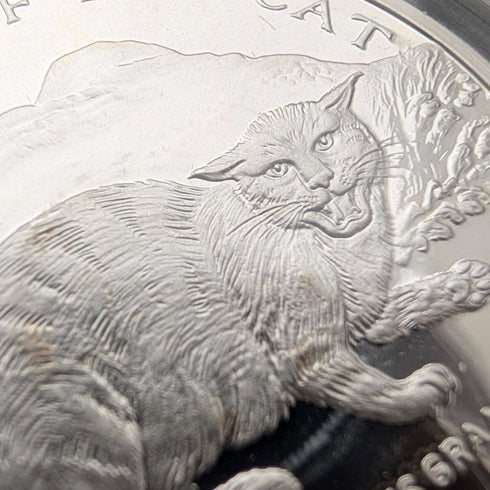 British Isle of Man Silver Crown Coin "The History of Cats: European Wildcat" by PobjoyMint, with Case and Instructions