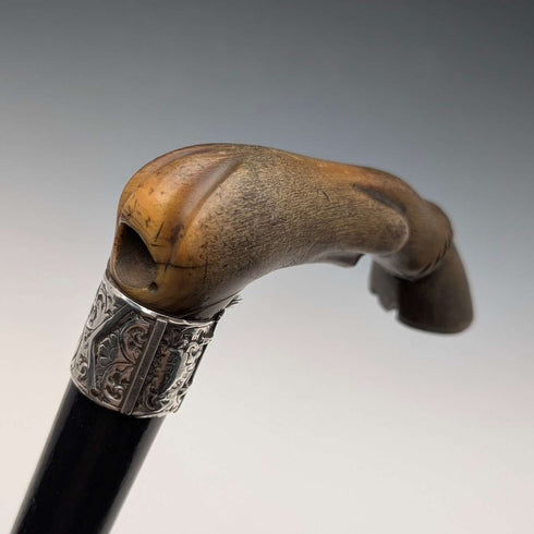 1899年 英国古董纯银装饰L型兽角柄手杖 83cm