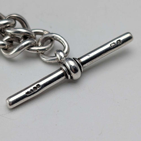 Cadena Albert de plata esterlina antigua inglesa de circa 1897, 46 g, con charm fob de nácar