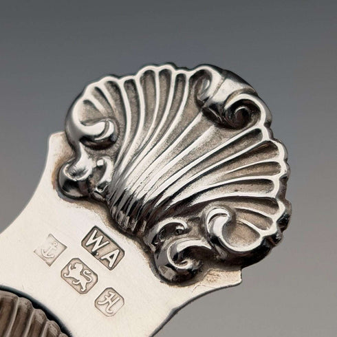 1982 British Vintage Sterling Silver Shell-Shaped Tea Caddy Spoon, 20g, William Adams Ltd.