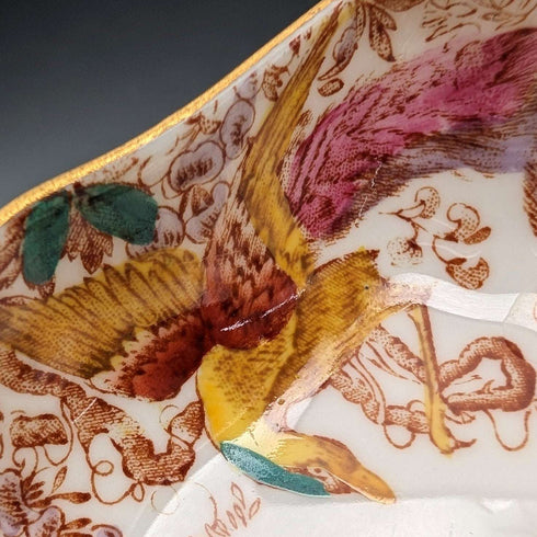Bandeja pequeña de porcelana fina "Old Aylesbury" de Royal Crown Derby, vintage británico