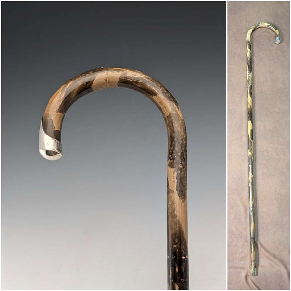 1925 British antique walking stick with mottled shaft, curved handle and pure silver decoration, 86cm