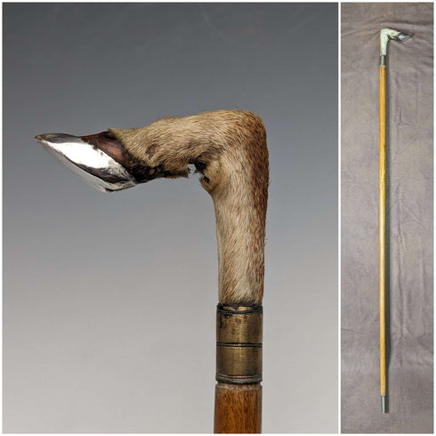 영국 앤틱 신사용 지팡이, 샤모아 레그 핸들, 라이트 브라운 샤프트, 89cm
