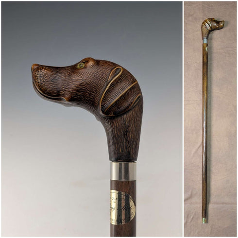 Bastón vintage británico con eje marrón y empuñadura de resina en forma de cabeza de perro, 83 cm