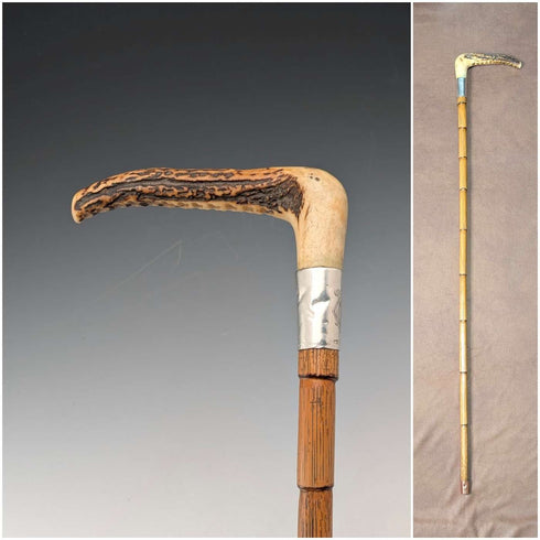 1906年 英国アンティーク タンシャフト アントラークラッチハンドル ステッキ 杖 80cm