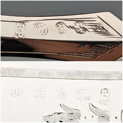 1870 British antique carved mother-of-pearl handle fruit cutlery set of 5 pairs in wooden box by MARTIN HALL