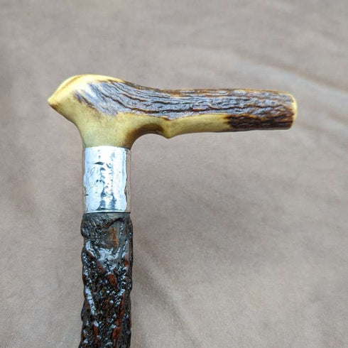 Bastón antiguo inglés para caballero de 1908, empuñadura de asta de ciervo, 85 cm