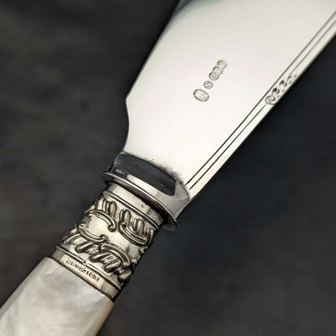 British Vintage White Pearl Shell Handle Silver Plated Fish Server Set in Case
