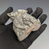 Figura decorativa de dos gatitos de William Comyns, Reino Unido, bañada en plata de ley, 178 g
