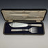 British Vintage White Pearl Shell Handle Silver Plated Fish Server Set in Case