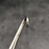American antique Gorham sterling silver handle button hook