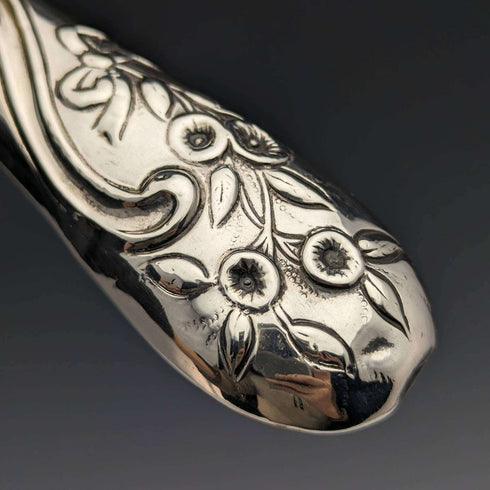 【Reservado】Cepillos grandes antiguos de plata esterlina con mangos grabados en relieve, Reino Unido, c. 1890, Comyns